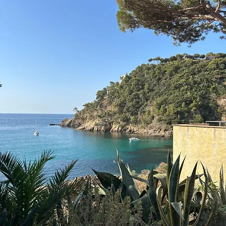 La Calypso * Cavalaire-sur-Mer